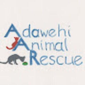 Meet your Posher, Adawehi